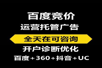 百度竞价入门必看：实操技巧与成功案例